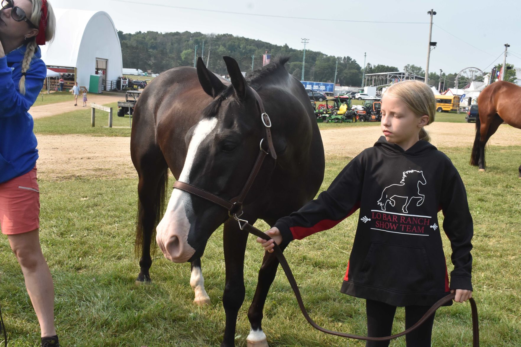 Sauk County Fair